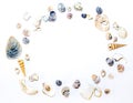 ÃÂ¡ircle of small marine colored orange blue pink violet seashells of different sizes and shapes on white backdrop